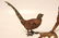 5 pc. Viennese Bronze Animals - 6