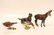5 pc. Viennese Bronze Animals - 8