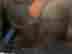 item-99237402=3