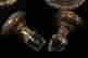 item-131855306=7