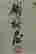 item-136799971=10