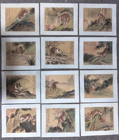 Chinese Ink Color Silk Painting Set,12 Pages