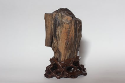 A Petrified Wood on Wood Stand