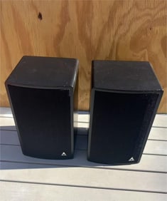 Vintage Triad Speakers