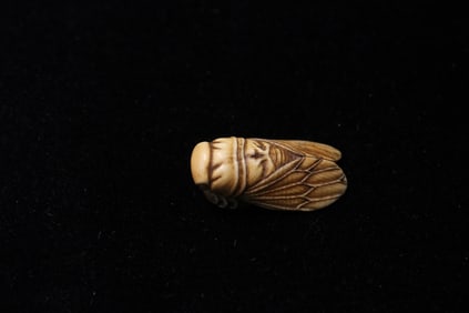 Japanese Bone Carved Cicada
