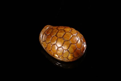 Chinese Archaic Jade Carved Turtle