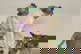 item-210995181=6
