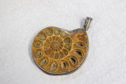 Ammonite Fossil Jewelry Pendant