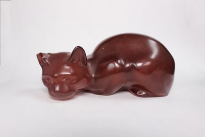 Amber Color Cat