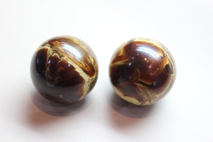 Two Petrified Wood Sphere Fossil Ball