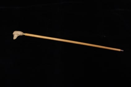 Vintage Walking Stick with Carved Dog Head Handle.