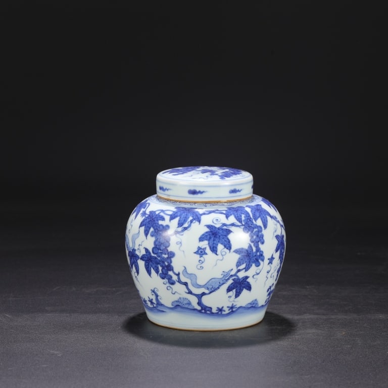 Chinese Blue and white porcelain ginger jar (1 of 7)
