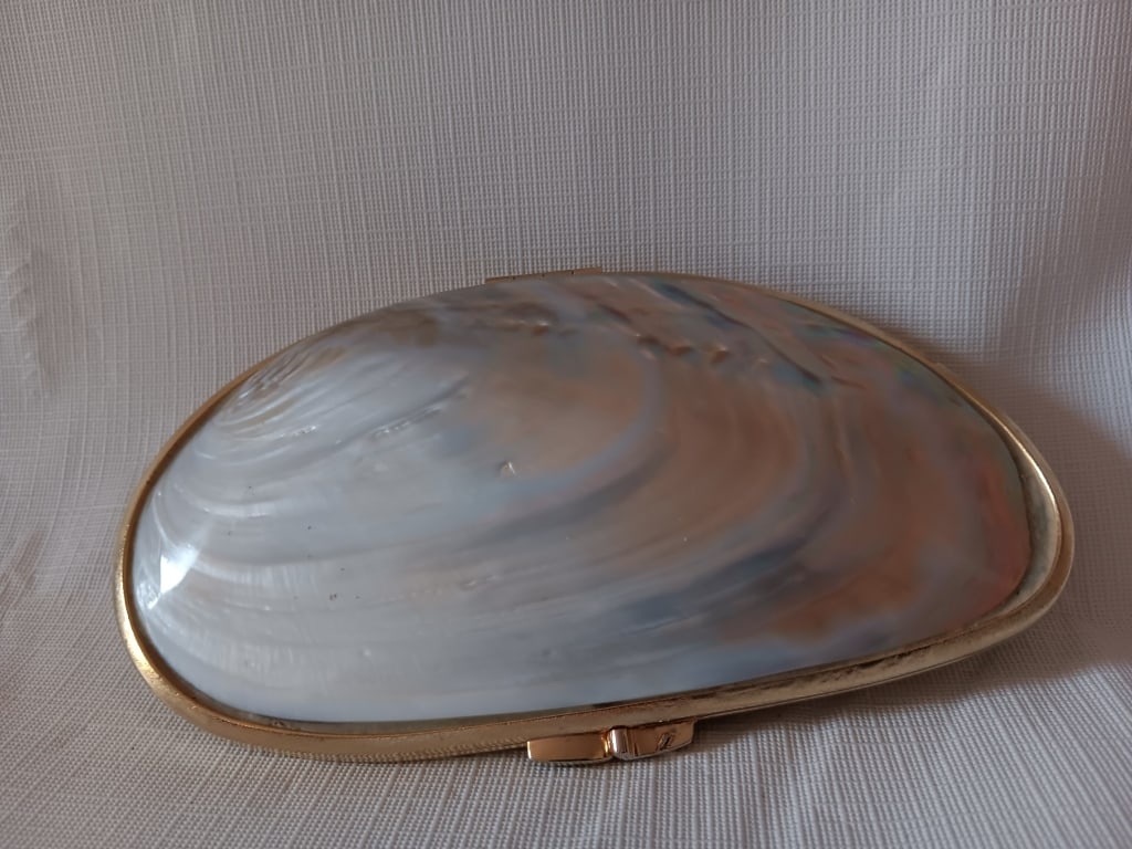 Mother-of-pearl shell handbag (1 of 6)