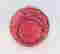 item-66129037=5