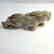 JADE CARVING MYTHOLOGICAL ANIMAL BIXIE ANTIQUE - 3