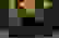 item-77732150=6