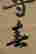 item-84782168=3