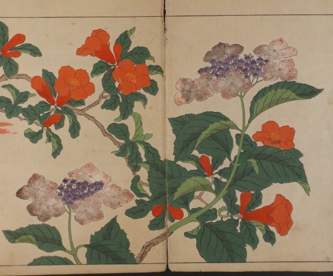 Sakai Hoitsu, Red Bell Flowers, 1st woodblock pr. 1907: Sakai Hoitsu, "Red Bell Flowers", original woodblock print from the Shiki no hana, authentic first printing by Yomada Unsodo, Kyoto, 1907-1908, Meiji Era 40-41. Certifications of Authenticity will be 