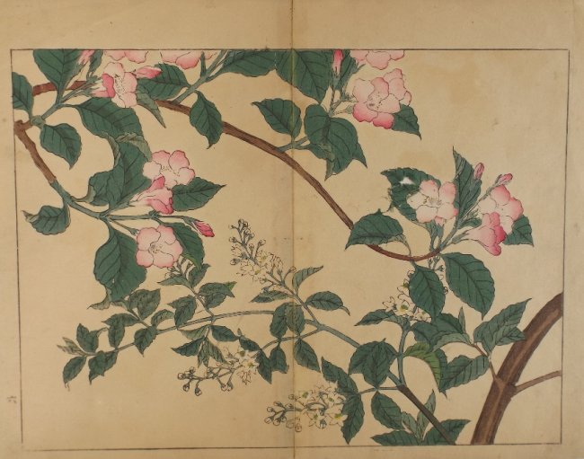 Sakai Hoitsu, Spring blossoms, 1st woodblock print 1907: Sakai Hoitsu, "Spring blossoms", original woodblock print from the Shiki no hana, authentic first printing by Yomada Unsodo, Kyoto, 1907-1908, Meiji Era 40-41. Certifications of Authenticity will be i