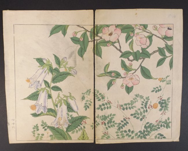 Sakai Hoitsu, Bell & Apple Tree Flowers, woodblock 1907: Sakai Hoitsu, "Bell Flowers and Apple Tree Blossoms", original woodblock print from the Shiki no hana, authentic first printing by Yomada Unsodo, Kyoto, 1907-1908, Meiji Era 40-41. Certifications of A