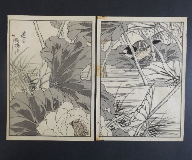 Yukoku Matsui, Sacred Lotus, Wagtail, 1st Print 1901: "Sacred Lotus and Wagtail", by Yukoku Matsui, from the Kotori no negura, "Birds and Flowers." This is an authentic first woodblock print created and published by Unkindodo, Kyoto in 1901, Meiji Era. Y