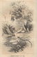Stories about Fairies, Ruskin, 1stUS 1856 Billings ill. - 3