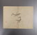 Kazan Watanabe, Praying Mantis woodblock 1stPrint 1911 - 3