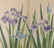 Sakai Hoitsu, Iris Flowers, 1907-08 woodblock 1stPrint - 2