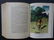 Nordhoff, Bounty Trilogy 1stEd. 1940 Wyeth illustration - 11