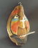 Vintage Hawaiian Tiki Head Carved Coconut Shell