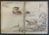 Yukoku Matsui, Common Red, Mandarin Duck 1stPrint 1901