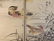 Yukoku Matsui, Common Red, Mandarin Duck 1stPrint 1901 - 2
