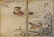 Yukoku Matsui, Common Red, Mandarin Duck 1stPrint 1901 - 3