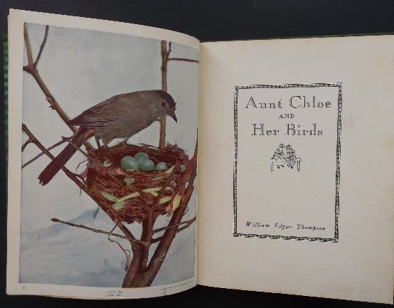Thompson, Aunt Chloe and Her Birds 1st/1st 1925 illustr: "Aunt Chloe and Her Birds" by William Edgar Thompson, privately published by the author in 1925, printed by Brown - Morrison Company, Lynchburg, VA. First printing issued in small quantity; illustrate