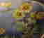 item-88364439=2