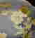 item-88364439=3