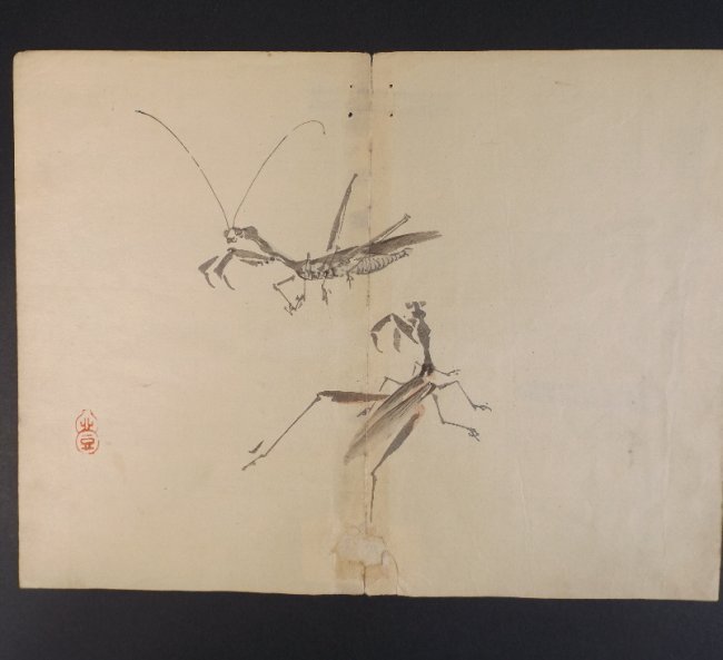 Kazan Watanabe, Praying Mantis 1stPrint 1911 woodblock: Kazan Watanabe, "Praying Mantis", woodblock print from Kazan Gafu, printed and published by Yoshkawa Kobunkan, Kyoto in 1911, Meiji Era. This is the original authentic first 1911 woodblock print of Ka