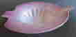 item-104005308=10
