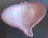 item-104005308=4