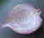 item-104005308=6