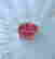 item-104005308=8
