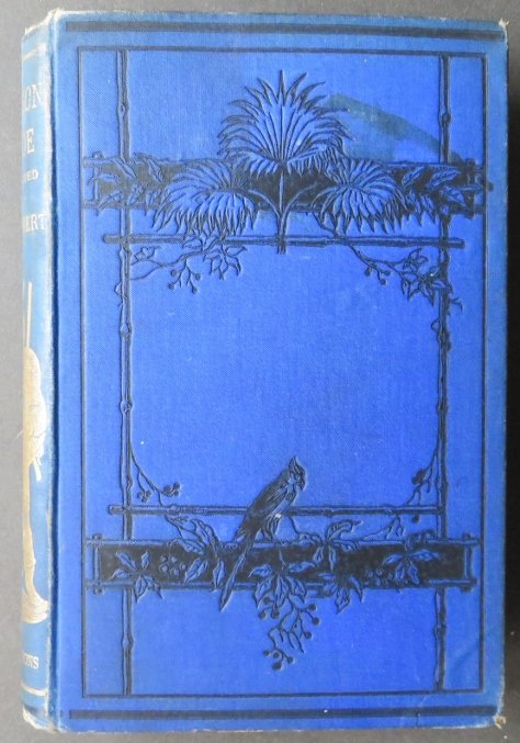 Defoe, Robinson Crusoe, 1879, 100 illustrations (1 of 16)