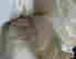 item-129924119=12