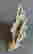 item-129924885=6