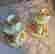 item-130254705=9