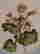 item-130256206=2