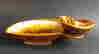 item-130603240=4