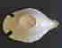 item-130605751=8