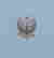 item-132050601=8