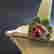 item-135853309=13